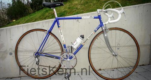Gios Torino specificaties